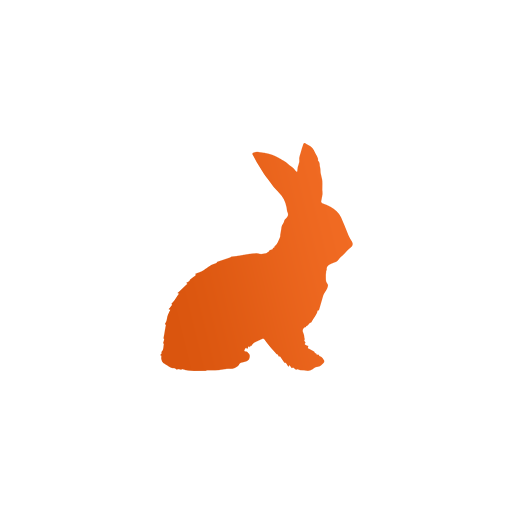 rabbit-shape img